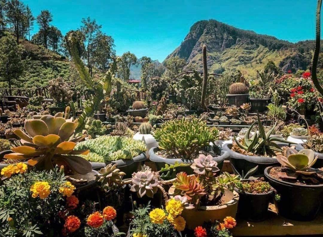 Ella Flower Garden Resort Luaran gambar