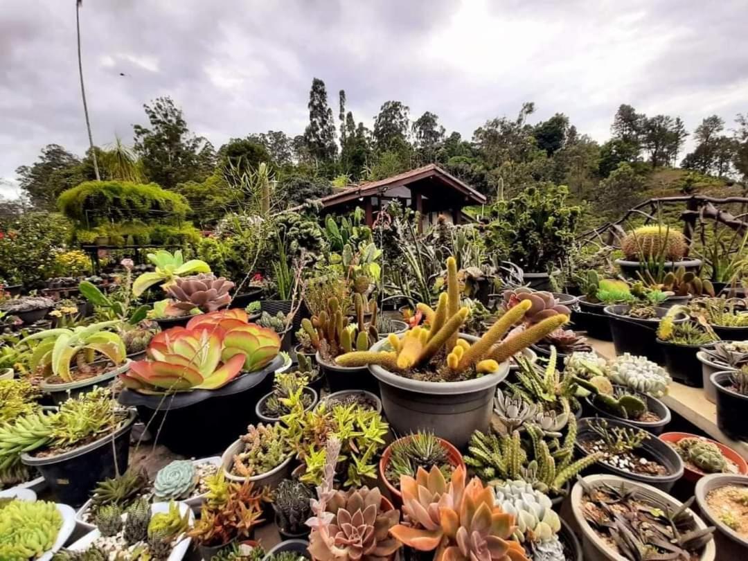Ella Flower Garden Resort Luaran gambar