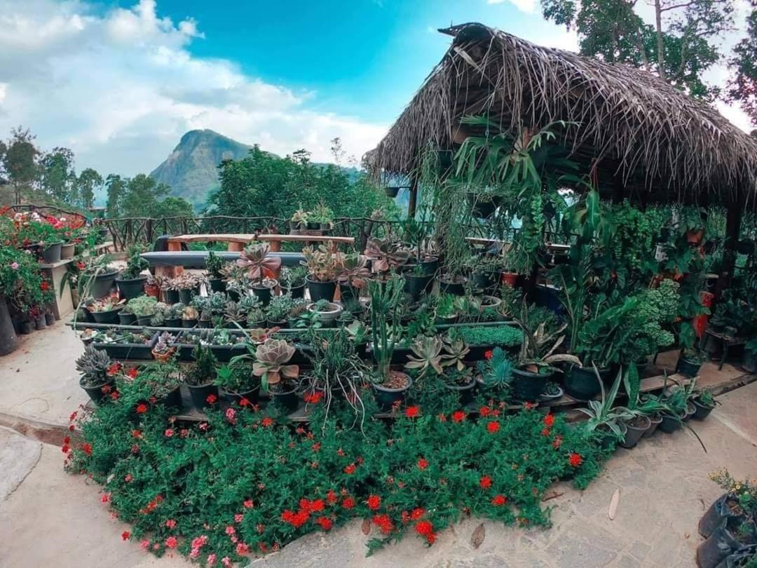 Ella Flower Garden Resort Luaran gambar