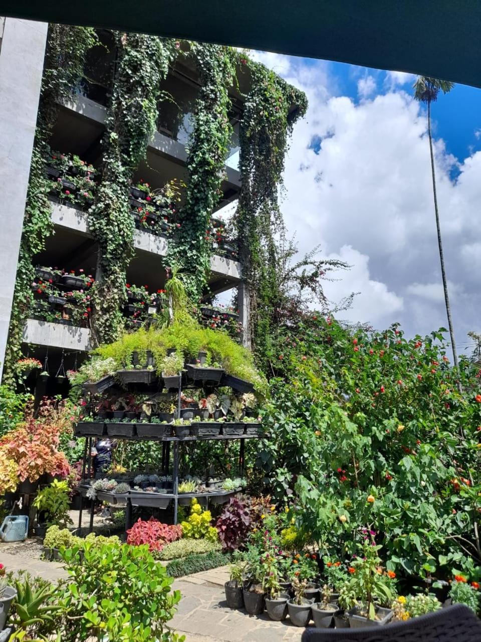 Ella Flower Garden Resort Luaran gambar