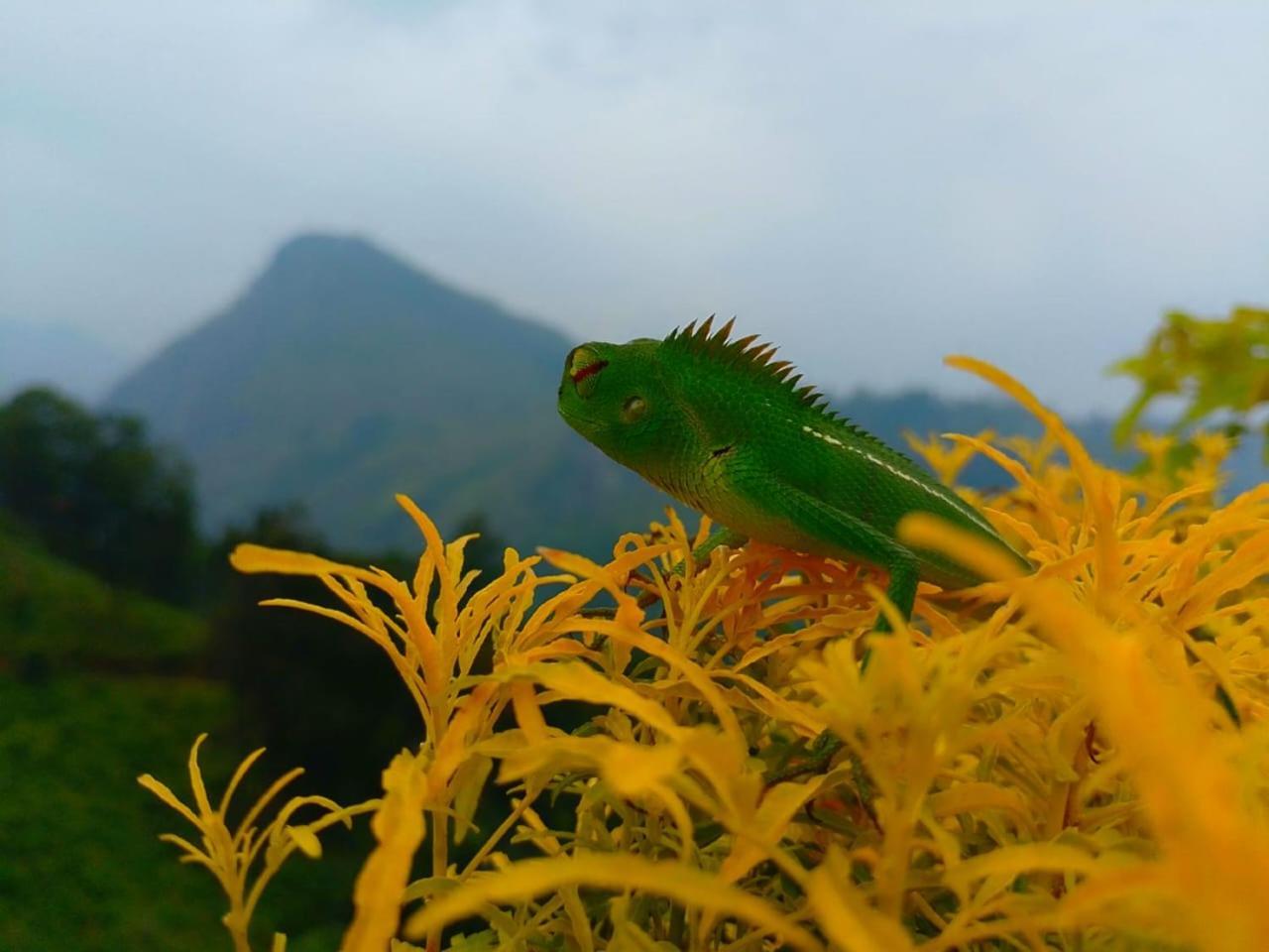 Ella Flower Garden Resort Luaran gambar